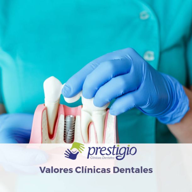 Calidad en Prestigio Dental